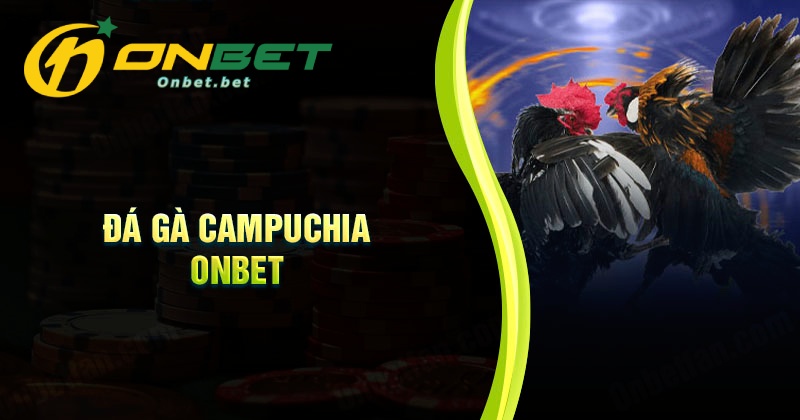 Giới thiệu về đá gà Campuchia Onbet