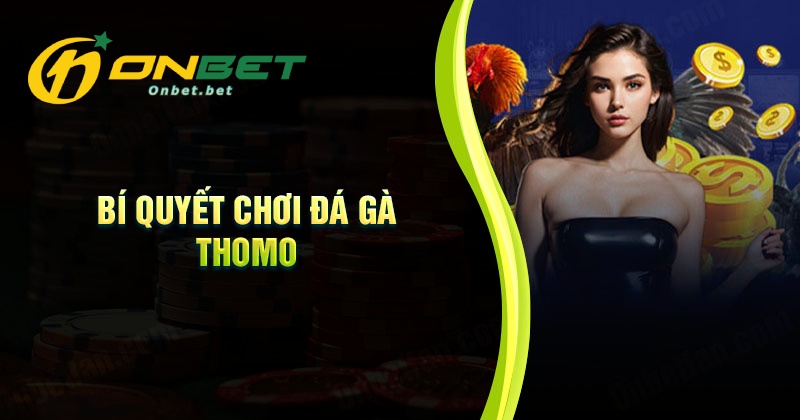 Bí quyết chơi Thomo luôn thắng lớn mỗi ngày