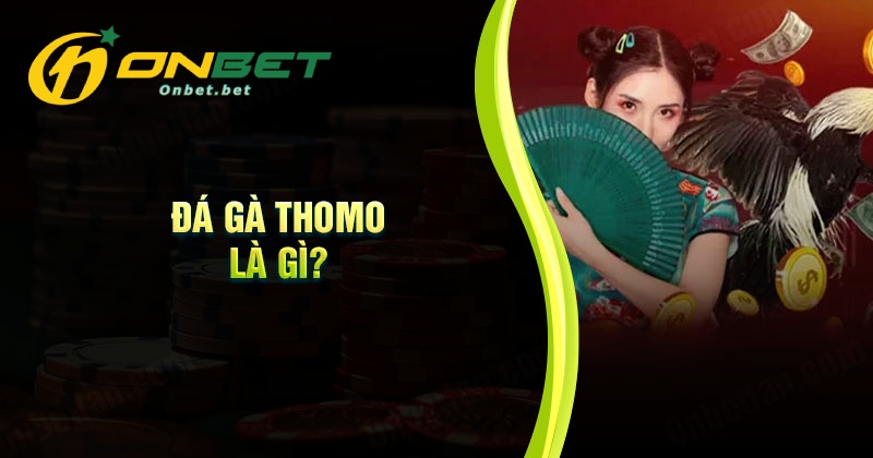 Đá gà Thomo là gì?