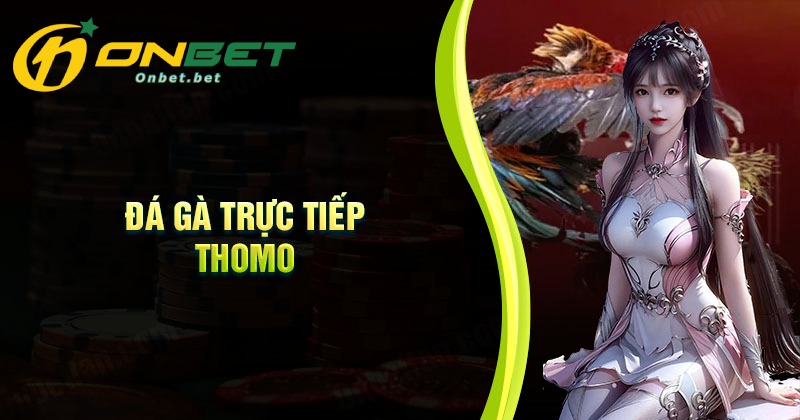 Hướng dẫn tân thủ đặt cược đá gà trực tiếp tại nhà cái Onbet